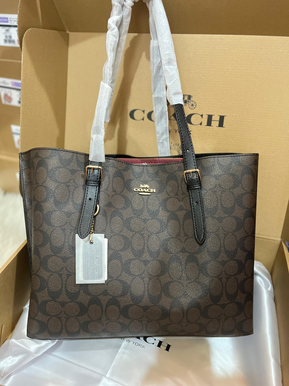 Coach Mollie Tote Bag 25